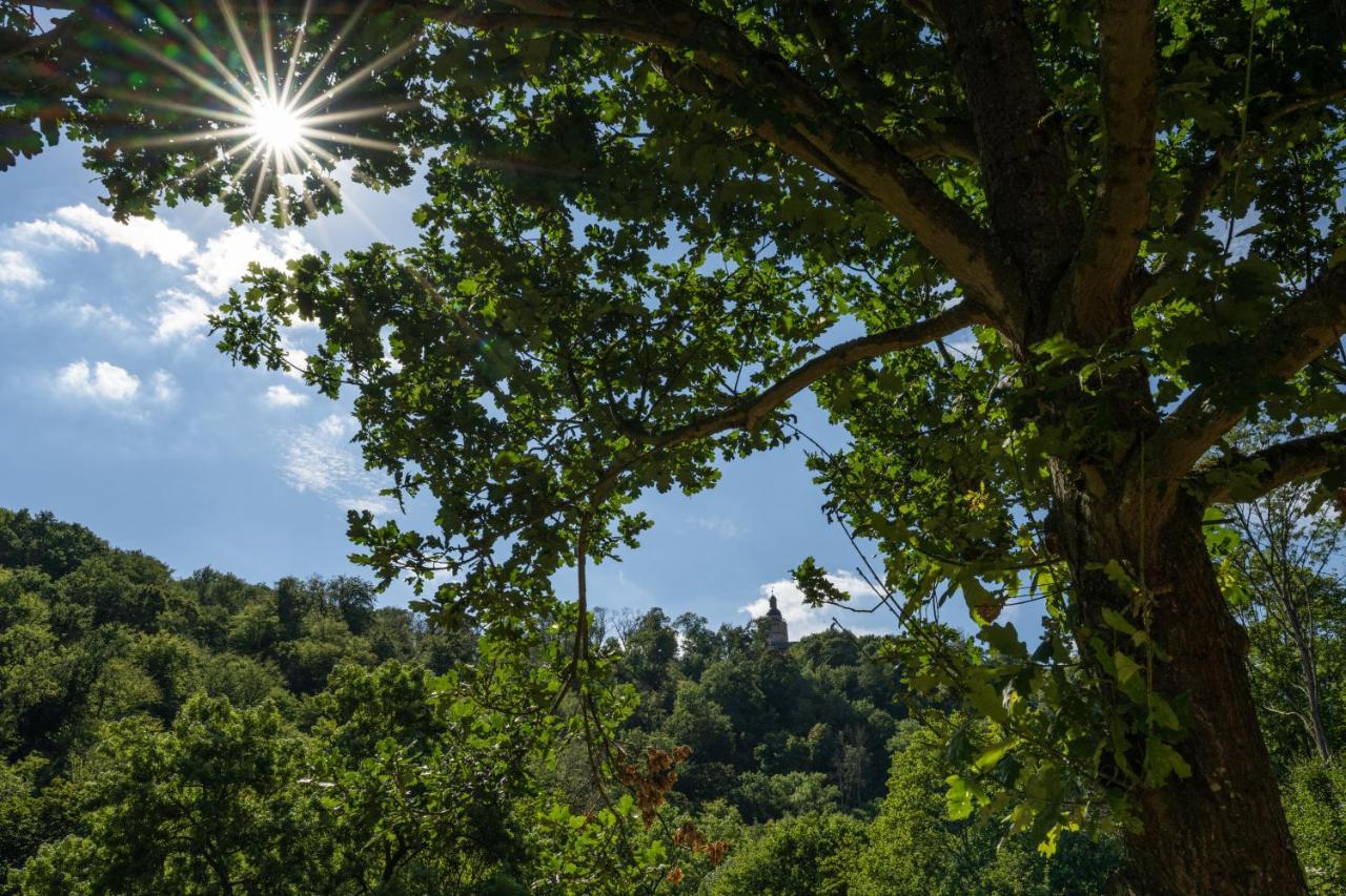 Aparthotel Thalmuehle Meisdorf Zewnętrze zdjęcie