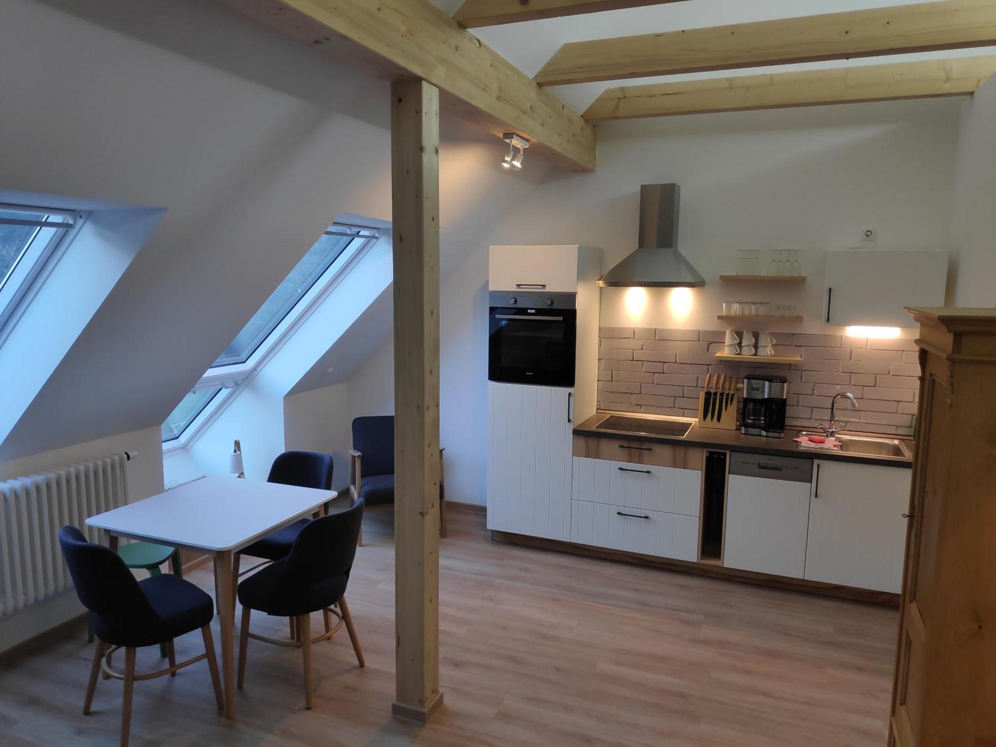 Aparthotel Thalmuehle Meisdorf Pokój zdjęcie