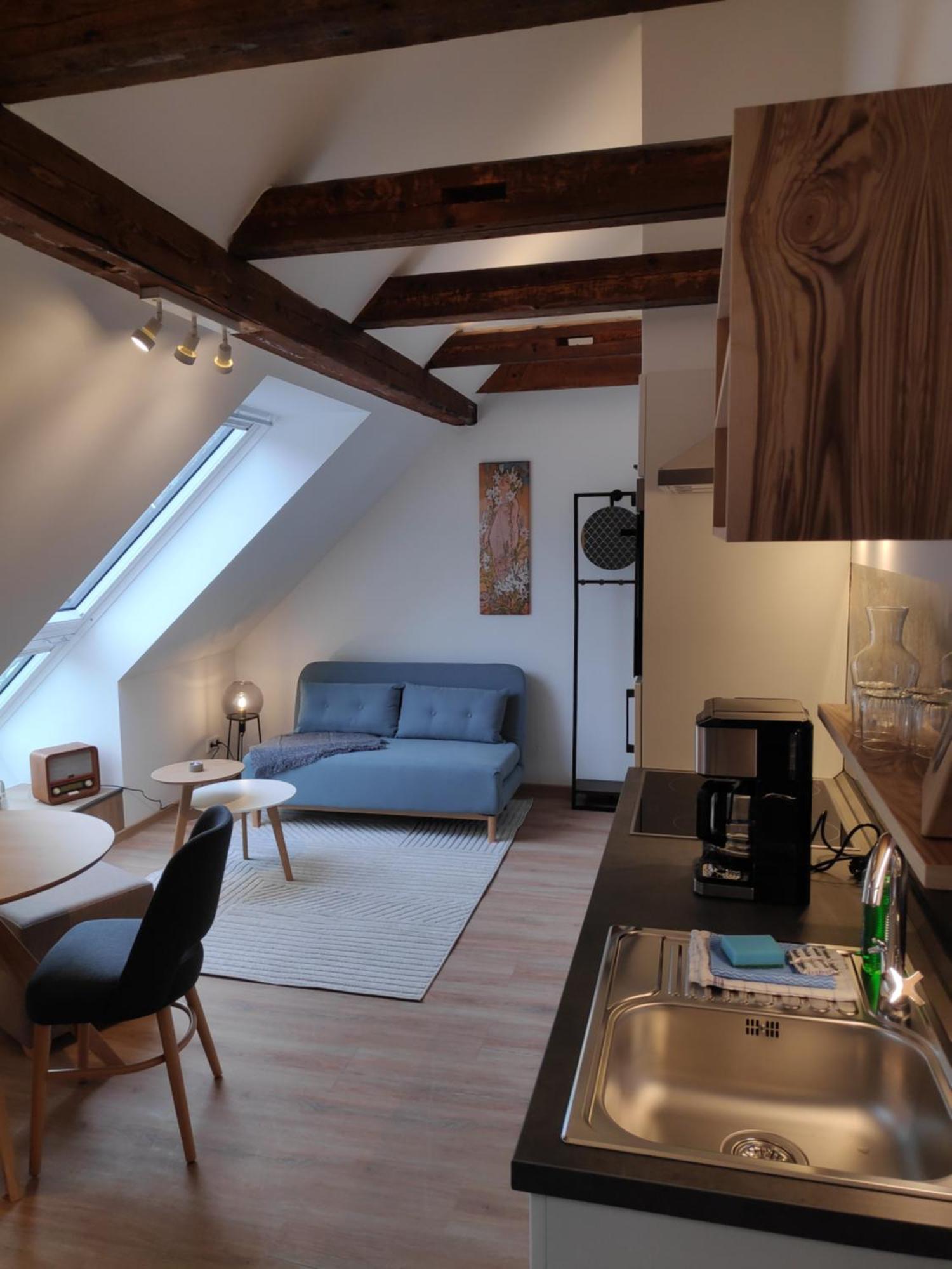 Aparthotel Thalmuehle Meisdorf Pokój zdjęcie